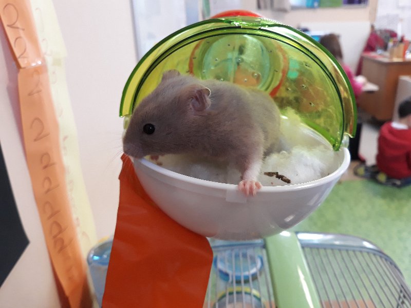 20190305_095636 20190305_095636