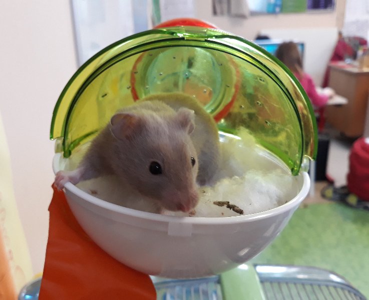 20190305_095638-2 20190305_095638-2