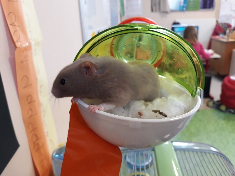 20190305_095640 20190305_095640