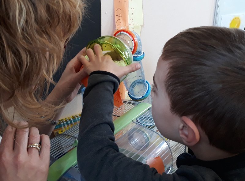 20190305_120449 20190305_120449