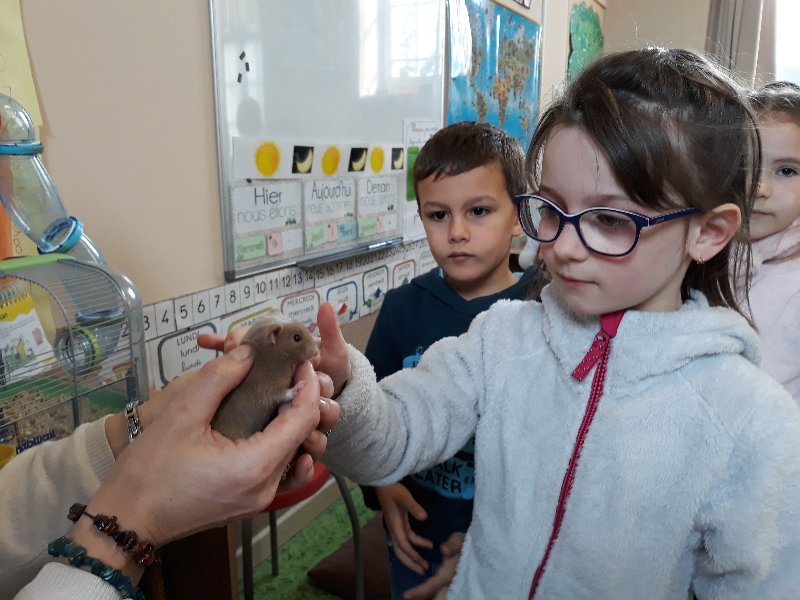 20190307_113457 20190307_113457