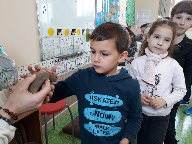 20190307_113500 20190307_113500