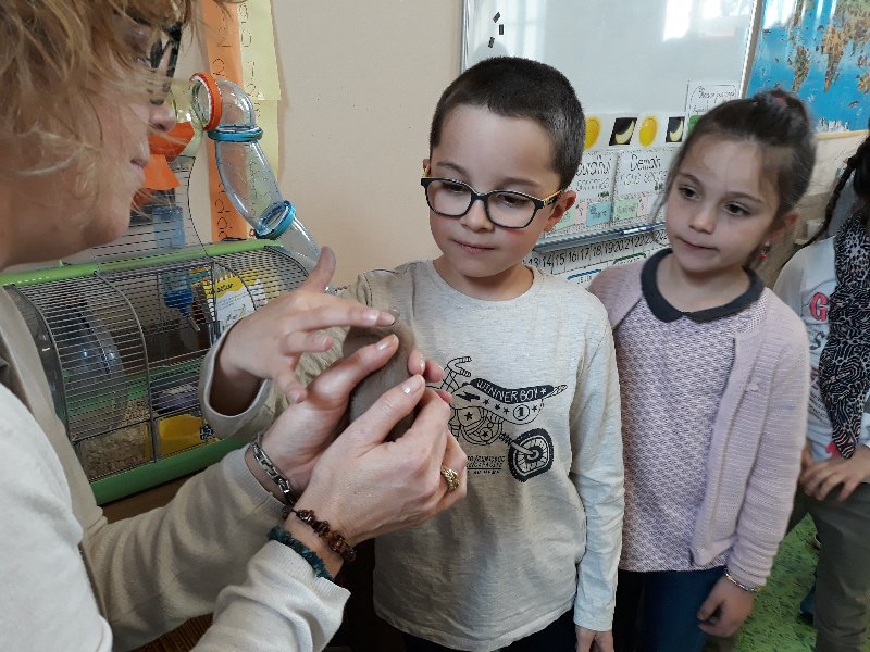 20190307_113519 20190307_113519